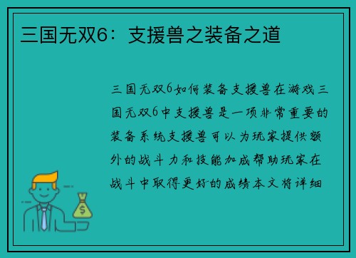 三国无双6：支援兽之装备之道